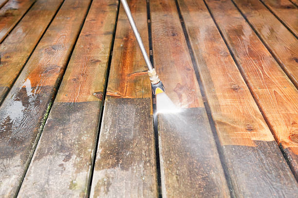 Best Driveway Pressure Washing  in Armona, CA